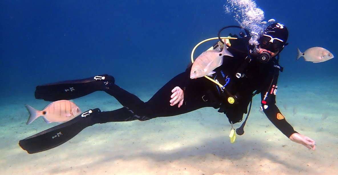 Lanzarote: Beginner Diving Course Costa Teguise (2 Dives) - Language and Instructor Information