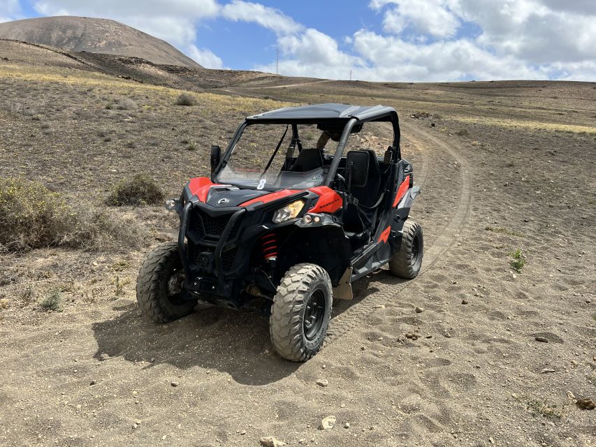 Lanzarote: Guided Can-Am Trail Buggy Tour - Experience Highlights