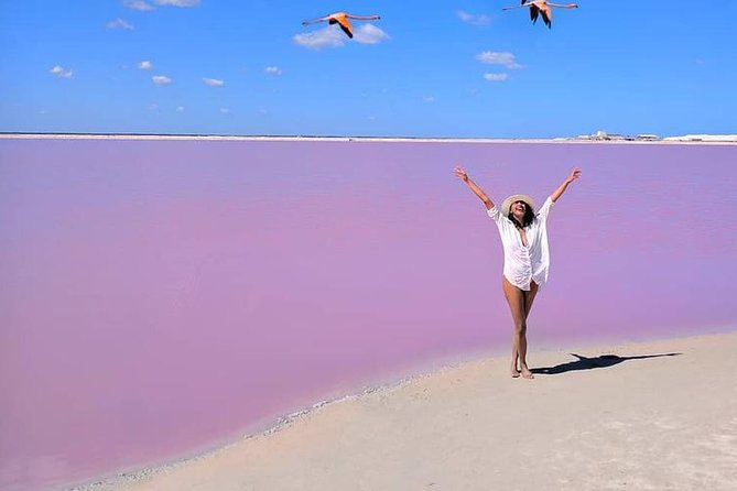 Las Coloradas Pink Lake With Ría Lagartos Boat Trip and Meals  - Cancun - Traveler Experience Insights