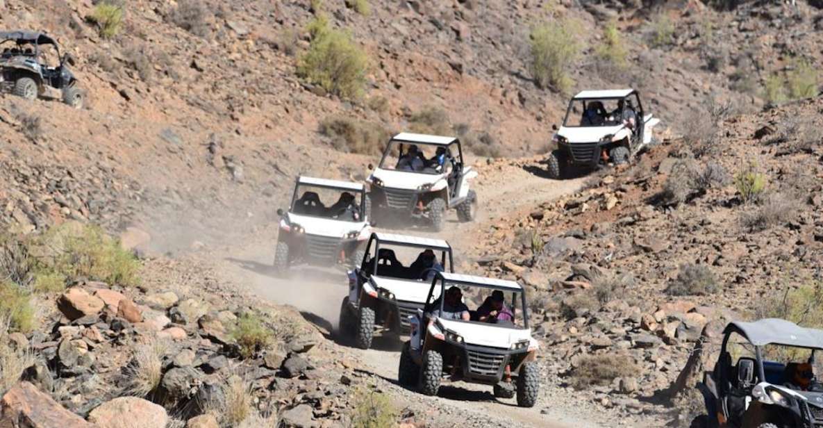 Las Palmas: Gran Canaria Guided Buggy Tour - Experience Highlights