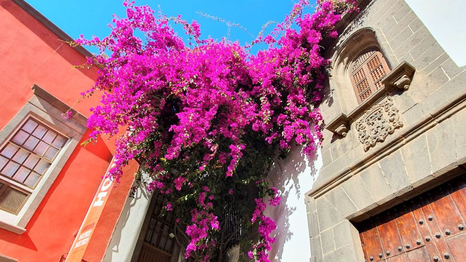 Las Palmas: Old Town Highlights Self-Guided Walking Tour - Experience