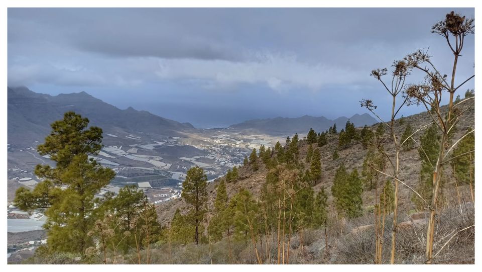 Las Palmas: Reserva Natural Inagua Gran Canaria Walking Tour - Activity Information