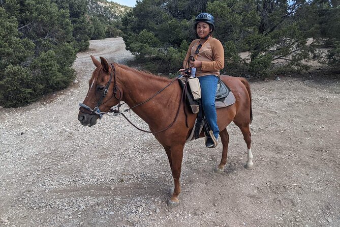 Las Vegas Horseback Riding Adventure - Cancellation Policy