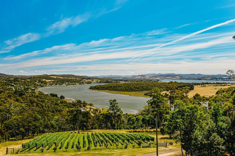 Launceston: Tamar Valley Wine Tour With Lunch - Tour Duration and Pickup Location
