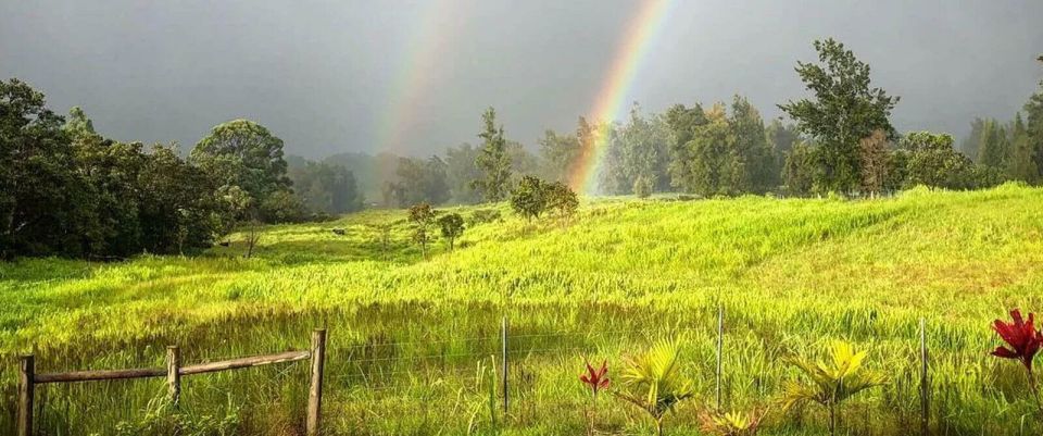 Laupahoehoe: Farm Animal Sanctuary Private Tour - Experience