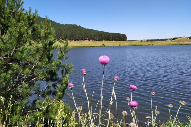 Light Trekking in the Heart of the Sila With an Excursion Guide - Preparation and Attire Recommendations