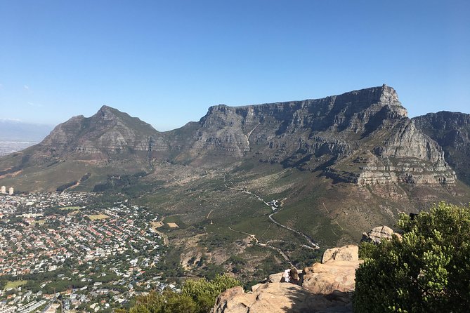 Lions Head Hike - Private Tour - Expert Guide Commentary