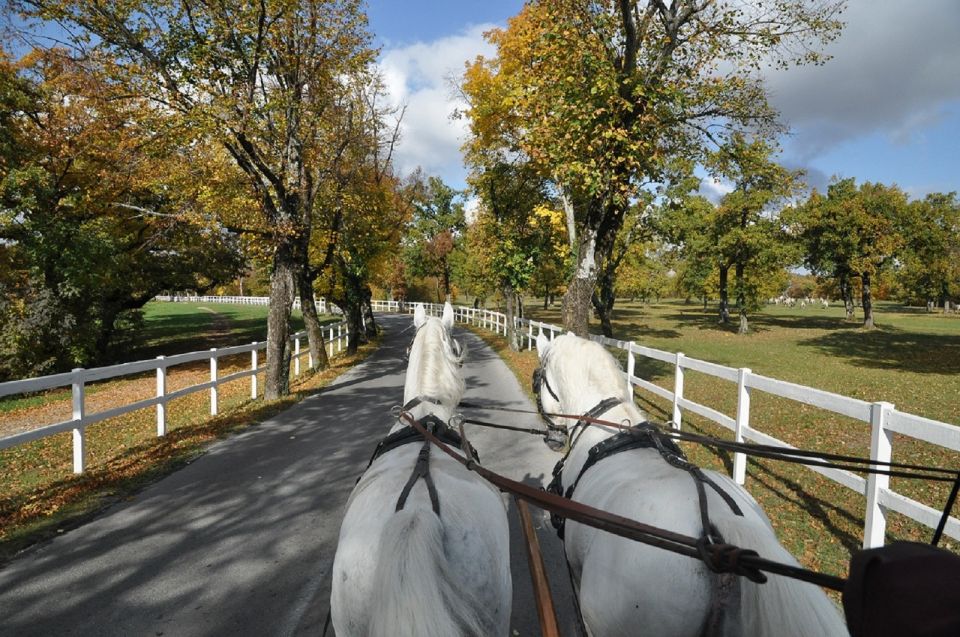 Lipica Stud Farm & ŠKocjan Caves From Koper - Experience Highlights