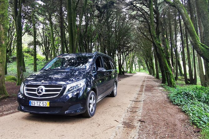 Lisbon to Madrid Private Transfer With Stops in Evora and Toledo - Reviews