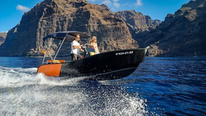 Live the Ocean Without License and Discover Los Gigantes - Boat Experience Details