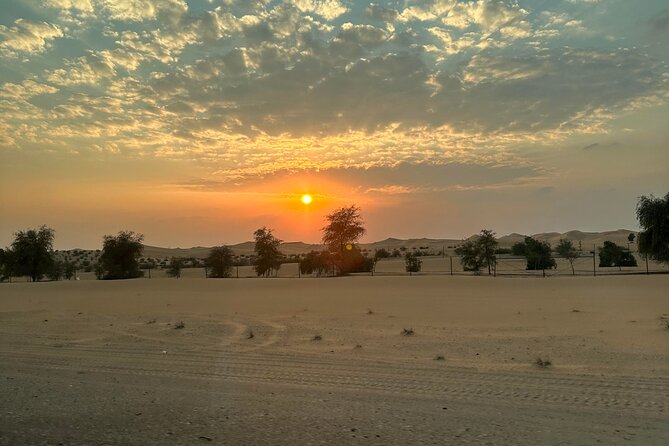 Liwa Private Full Day Desert Safari With Lunch & Sunset - Inclusions