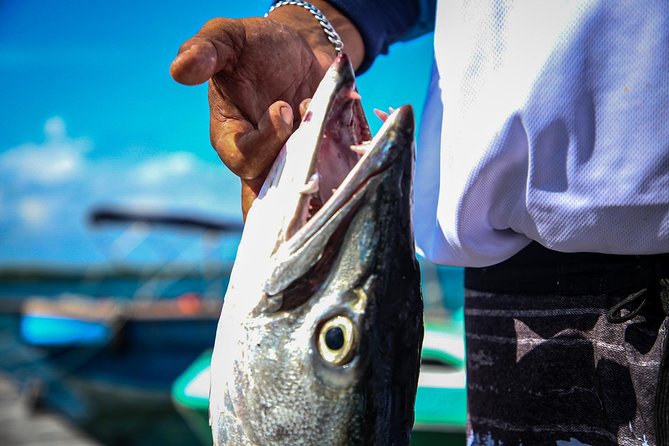 Local Fishing Plus Snorkeling Tour in Isla Mujeres - Tour Value and Flexibility