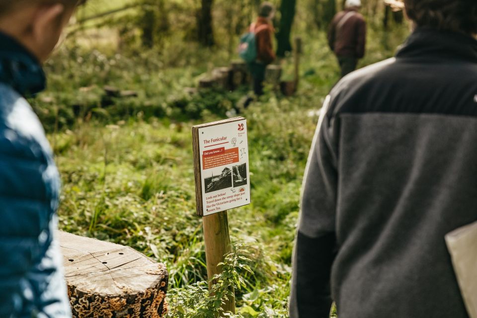 London: Set out on a Guided Tour of South Downs White Cliffs - Booking Information