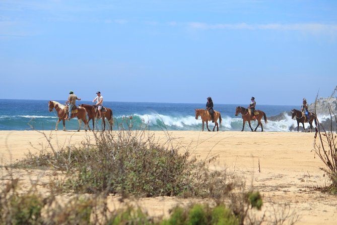 Los Cabos ATV and Pacific Horseback Riding Combo Tour - Customer Reviews