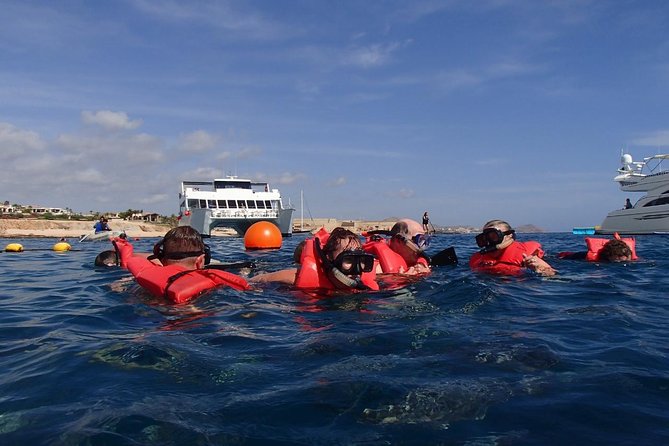 Los Cabos Reef Snorkeling Cruise With Lunch and Open Bar - Cancellation Policy