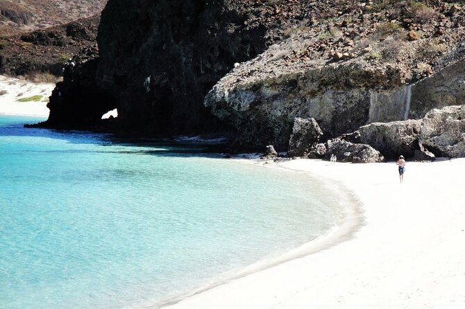 Los Cabos Remote Beach All-Inclusive Sail Trip With Snorkeling  - La Paz - Important Booking Information