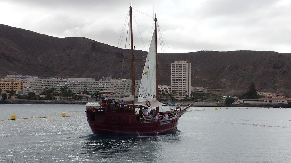 Los Cristianos: Whale-Watching Sailboat Tour and Soft Drinks - Activity Information