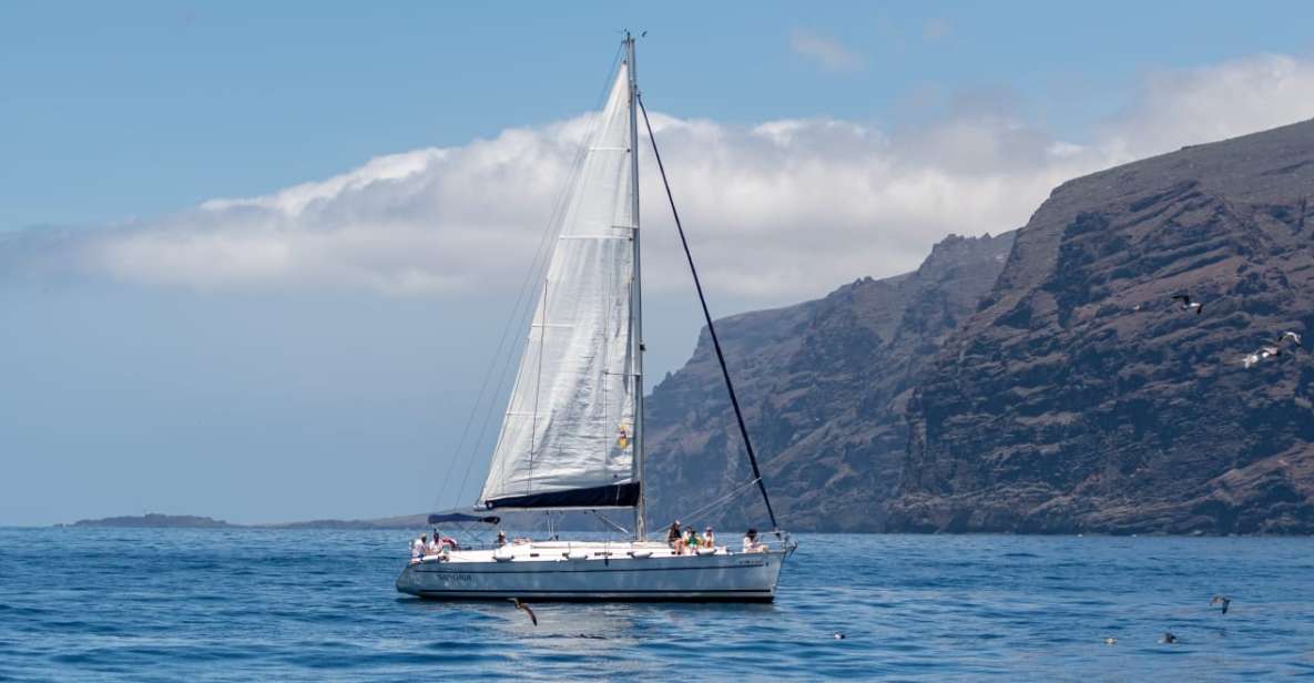 Los Gigantes: Sailing Excursion With Swimming, Drink & Tapas - Activity Itinerary