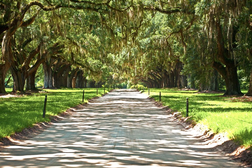 Louisiana: Laura, Oak Alley, or Whitney Plantation Tours - Visitor Reviews