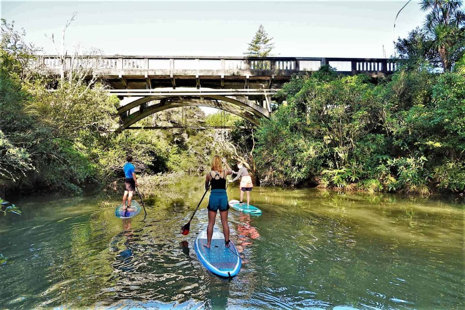 Lucas Creek Waterfall SuP Tour - Scenic Paddleboarding Experience
