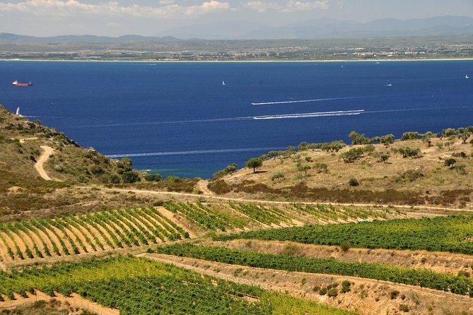 Luxury Wine Tour, Cap De Creus Natural Park - Cadaqués - Culinary Experience Details