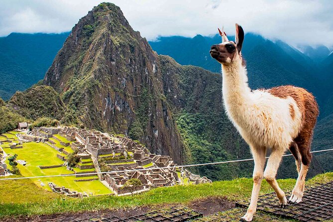 Machu Picchu Day Trip From Ollantaytambo & Urubamba - Reviews