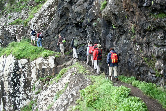 Madeira Full-Day Hiking Excursion - Cancellation Policy