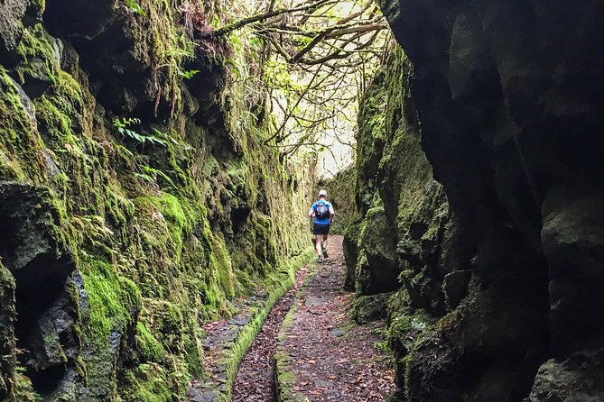 Madeira: Laurisilva Private or Small-Group Running Tour  - Funchal - Logistics