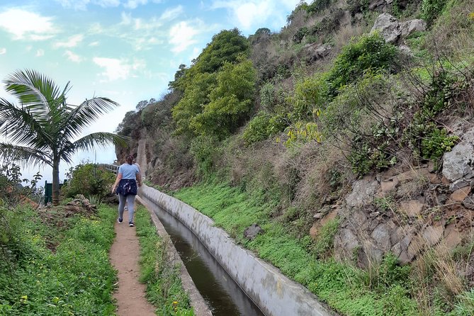 Madeira: Private Guided Levada Do Norte Walk - Pick-up Locations Availability