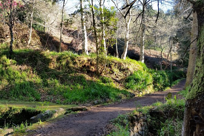 Madeira Vale Do Paraíso Day Walking Tour - Meeting Point