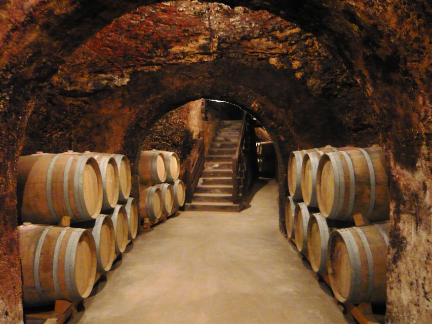 Madrid Region Wineries: Guided Tour and Tastings - Wine Tasting Experiences Offered