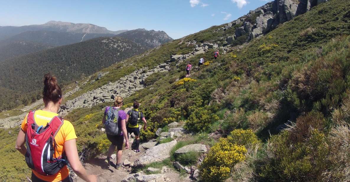 Madrid: Trail Running Day Trip - Tailored Routes for Every Runner