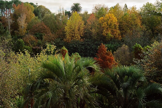 Magical and Exclusive Private Visit to the Fonte Baxa Garden, Luarca - Enchanting Features to Explore