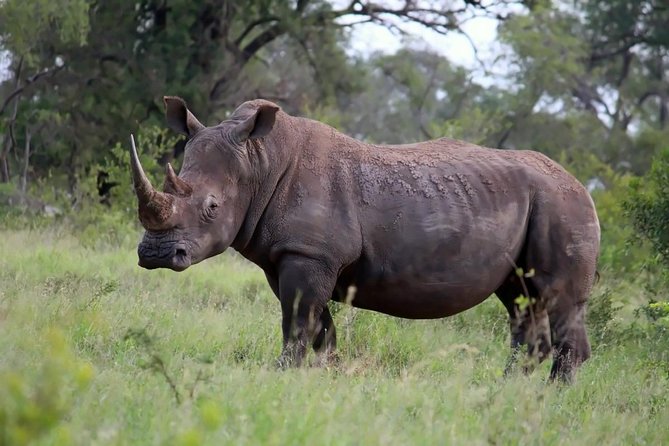 Magical Kruger National Park 2 Days Safari From Johannesburg - Accommodation Details