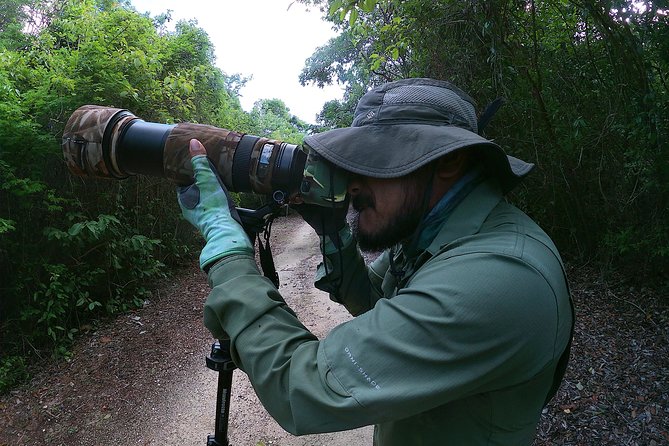 Mahahual and Costa Maya Birdwatching - Accessibility and Travel Recommendations