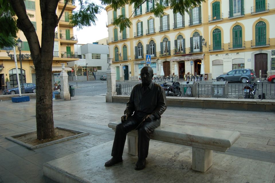 Málaga: 2-Hour Picasso Museum Private Guided Tour - Multilingual Support and Accessibility