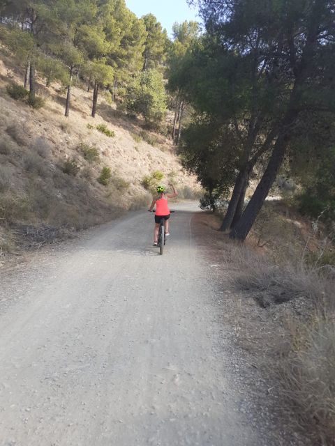 Málaga: 3-Hour E-Bike Tour of Montes De Malaga Natural Park - Experience Highlights