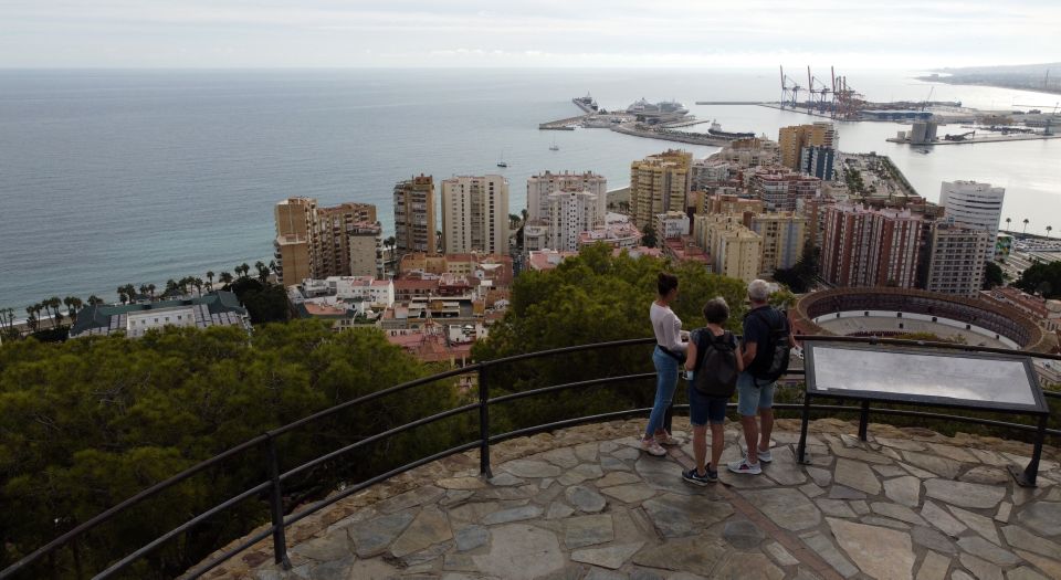 Malaga: E-Bike Sightseeing Tour - Language Options