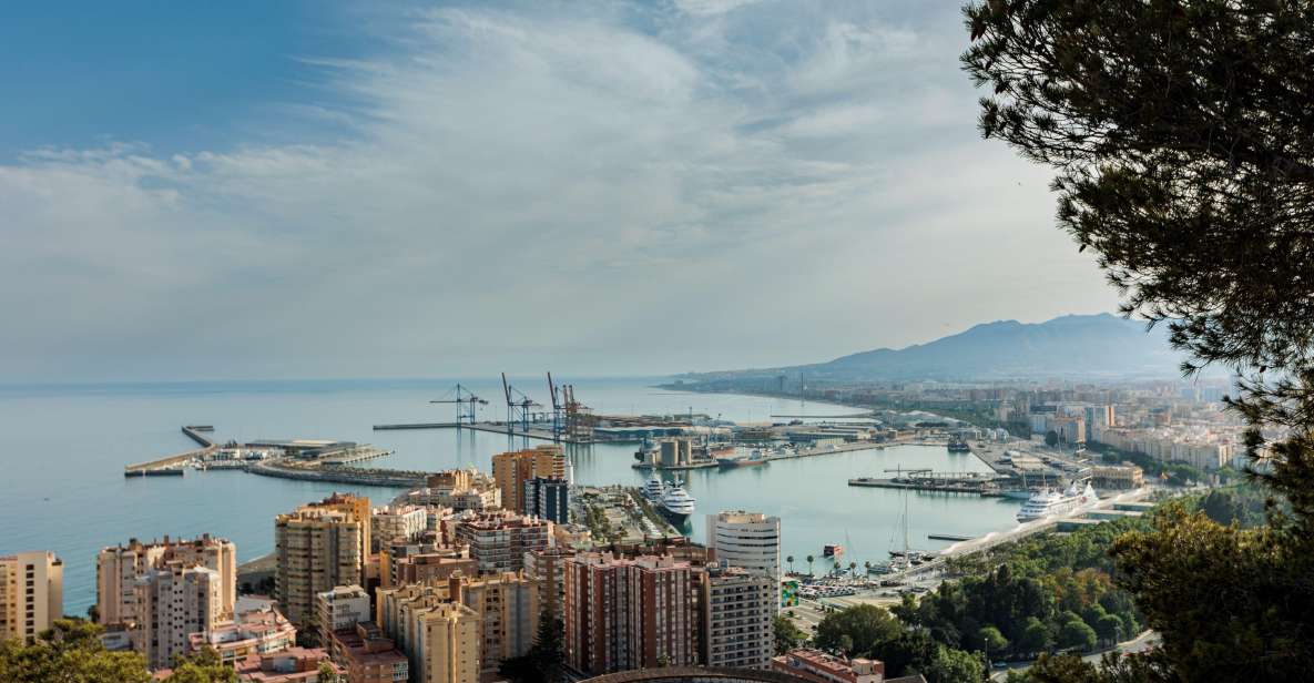 Malaga: Private Architecture Tour With a Local Expert - Flexible Booking Options