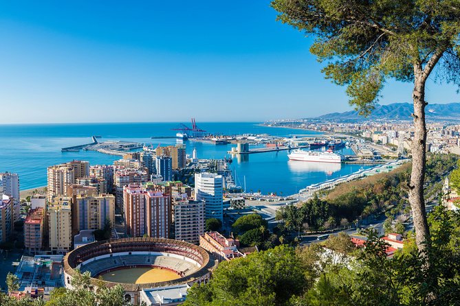 Malaga Private Small-Group History Tour - Group Size and Personalization