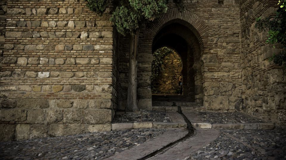 Málaga: Roman Theatre and Alcazaba Guided Tour - Experience Highlights