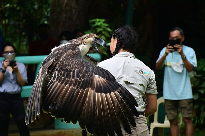 Malagos Chocolate Factory & Museum , Philippine Eagle Center - Rare Philippine Eagle Conservation Efforts