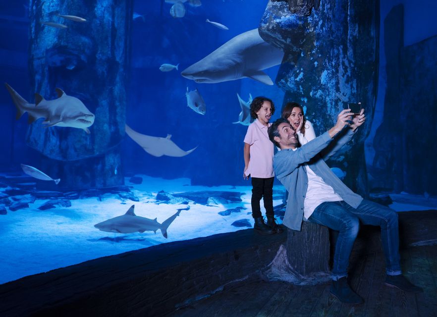 Mall of America: Sea Life Minnesota Aquarium Entry Ticket - Experience Highlights