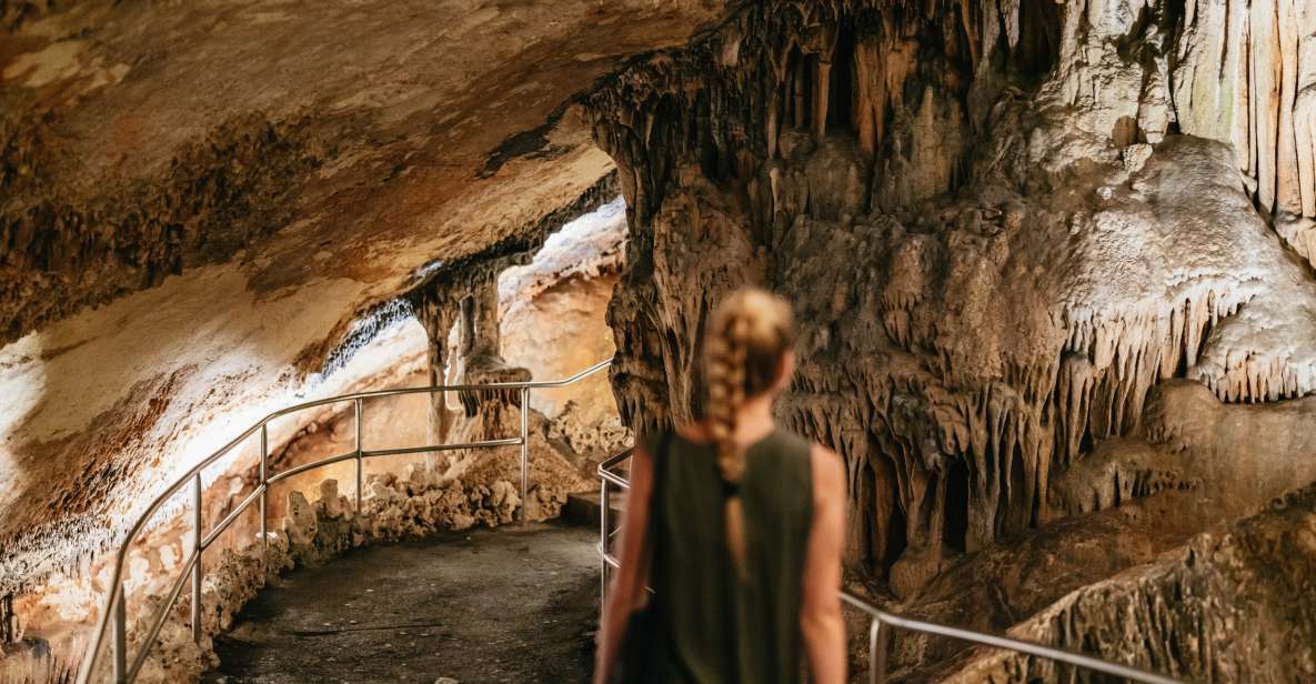 Mallorca: Caves of Drach Day Trip & Optional Caves of Hams - Experience Highlights