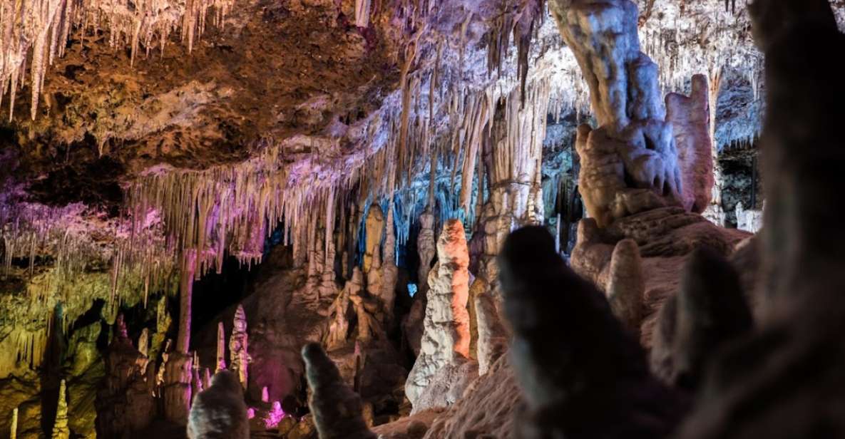 Mallorca: Day Trip to Caves of Hams & Optional Dinosaurland - Unveiling the Mesmerizing Underground World