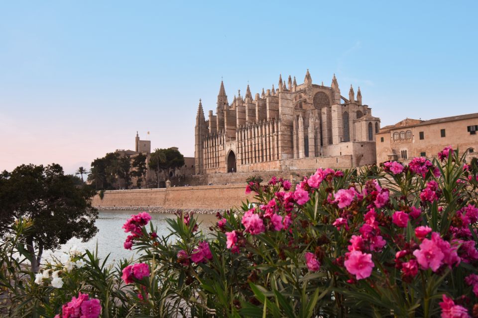 Mallorca: Instafamous Tour of Palma and North Coast - Itinerary Details