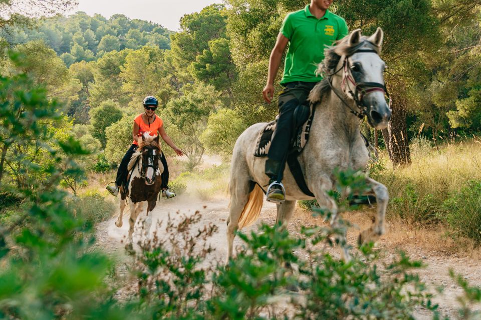 Mallorca: Mountain Horse Riding Experience W/ Brunch Option - Experience Highlights