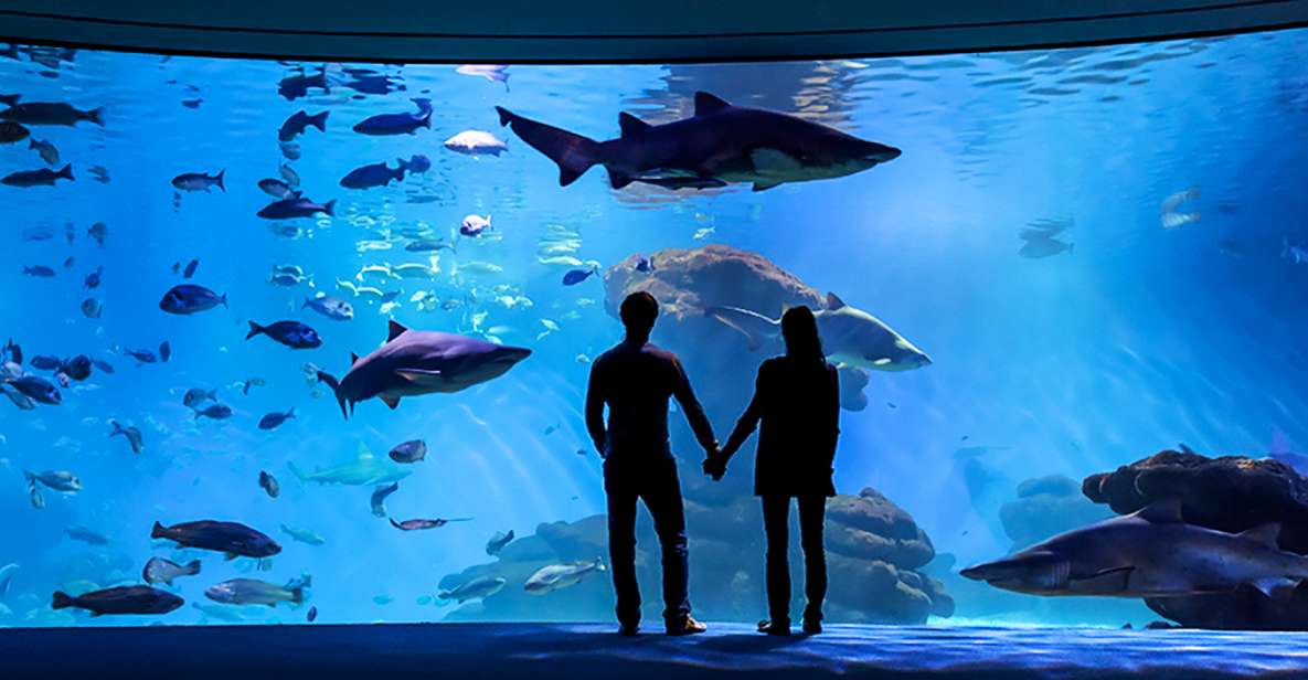 Mallorca: Palma Aquarium Entry Ticket W/ Optional 3D Cinema - Experience Highlights
