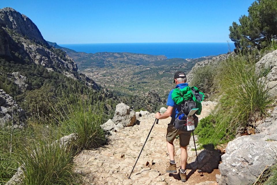 Mallorca Sòller Walking & Picnic Tour (Palma-Magaluf-Sòller) - Hosts and Languages Available