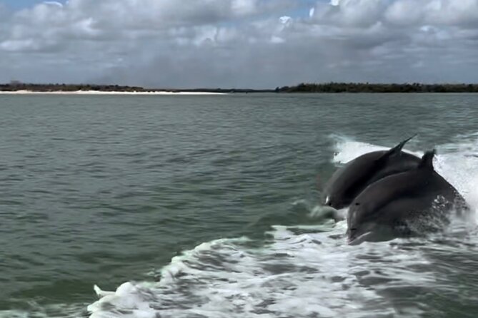 Manatee, Dolphin, and 10,000 Islands Eco Beach Tour by Boat - Tour Duration and Itinerary